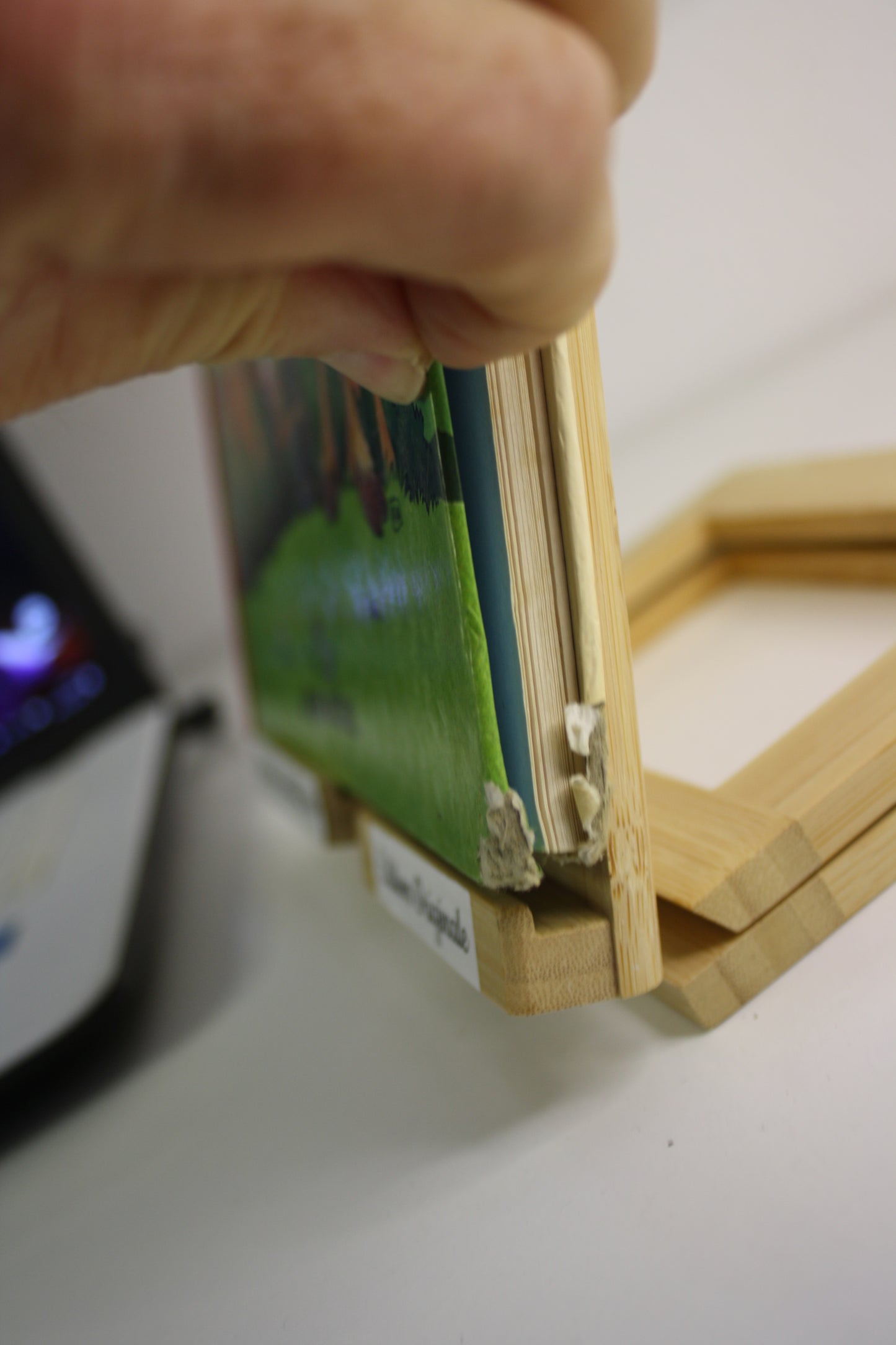 Le petit monde de Pétassine - Parodie – Amouriq – L’echos des savanes – EO – 1992