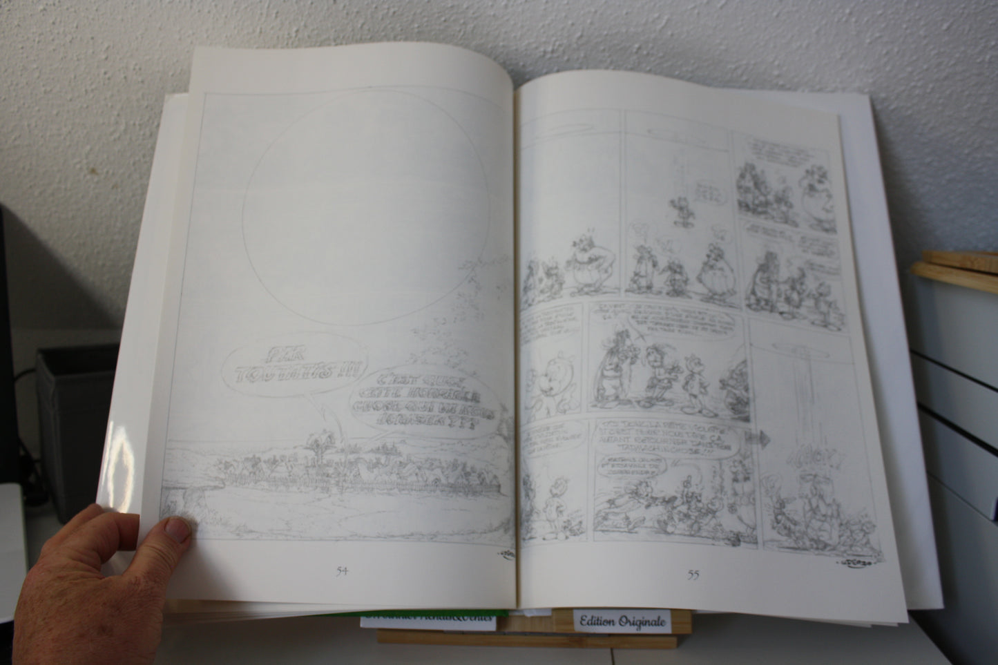 Le ciel lui tombe sur la tête – Astérix - Goscinny Uderzo - Albert rené - EO - 2005 - n°4935