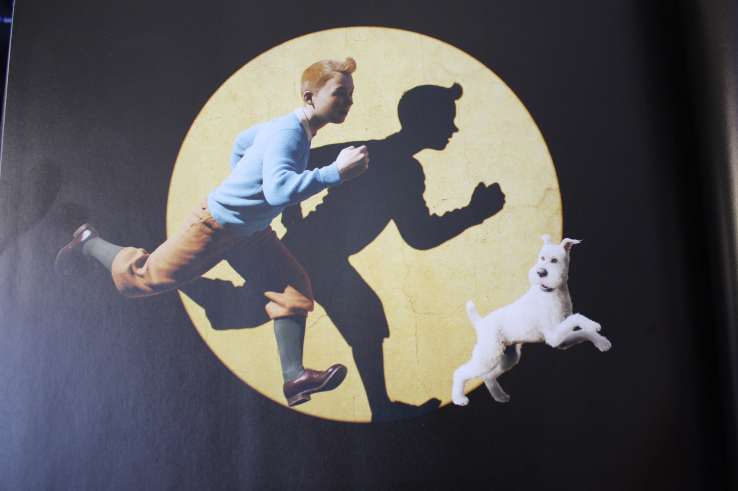 Artbook Les aventures de Tintin – Tintin – Weyrich - WetaNz - EO – 2024