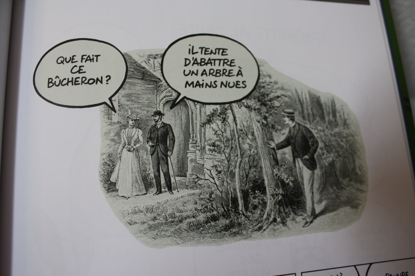 La Rumba du chat – Le Chat – Geluck – Casterman - EO - 2019
