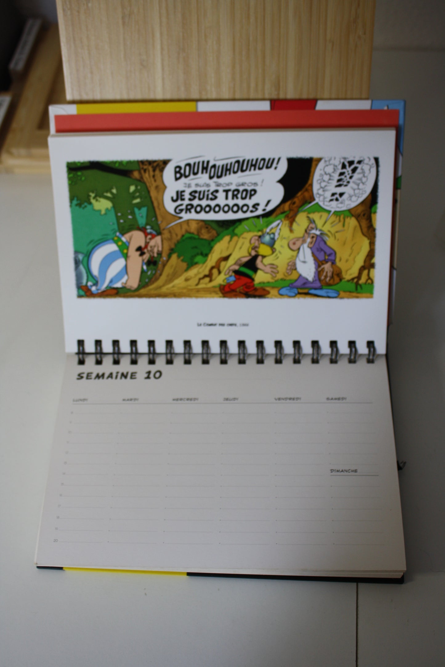 Calendrier Perpétuel – Astérix - Goscinny Uderzo - Chêne – Objet dérivé -2013
