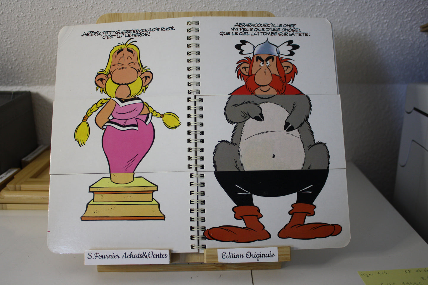Le monde Fou Fou Fou – Astérix – Editon Albert René – Les livres du dragon d'or - EO -1991