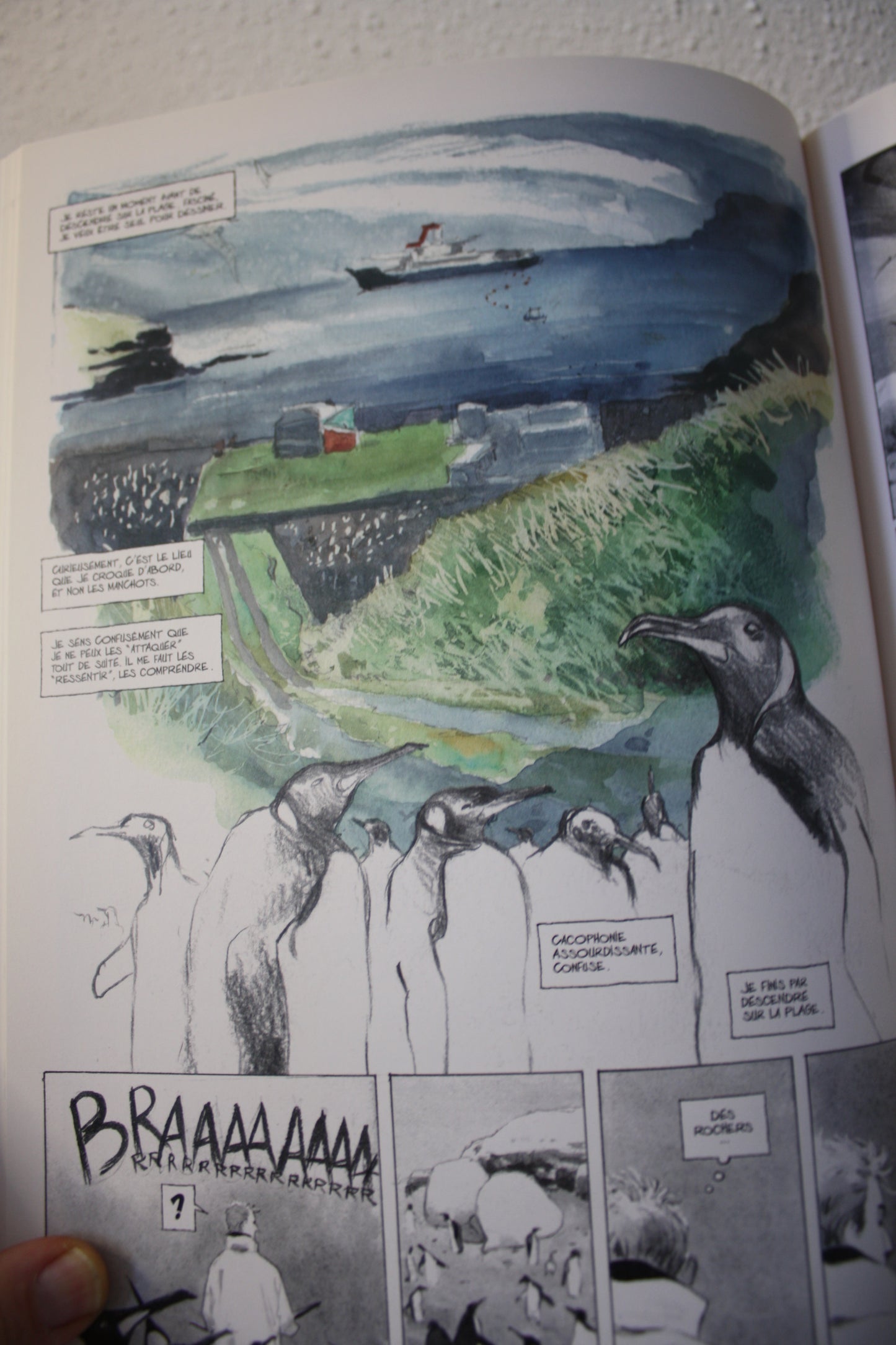 Voyage aux iles de la Désolation – - Emmanuel Lepage – Futuropolis - Publicitaire - 2011 - Crédit Mutuel