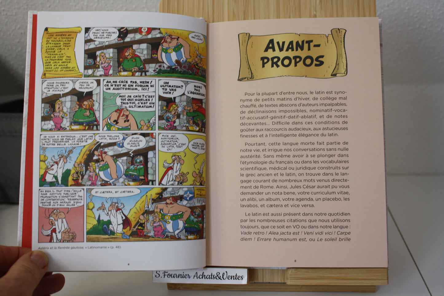 Les Citations latines expliquées – Astérix – Molin Goscinny Uderzo - E/P/A Hachette – Réédition-2019