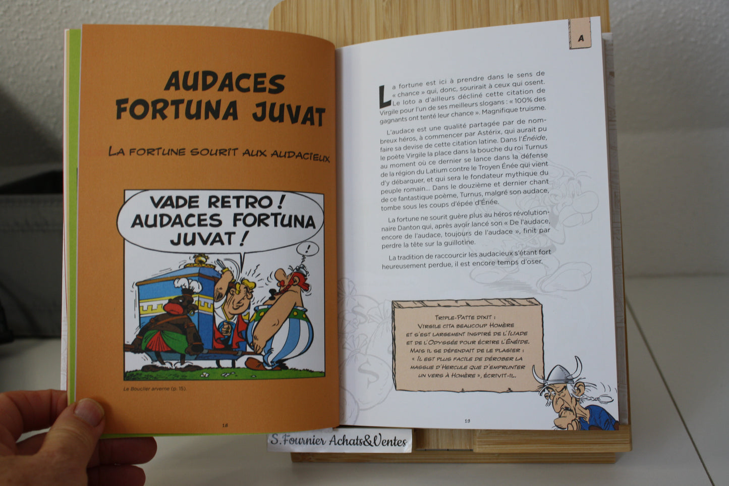Les Citations latines expliquées – Astérix – Molin Goscinny Uderzo - E/P/A Hachette – Réédition-2019