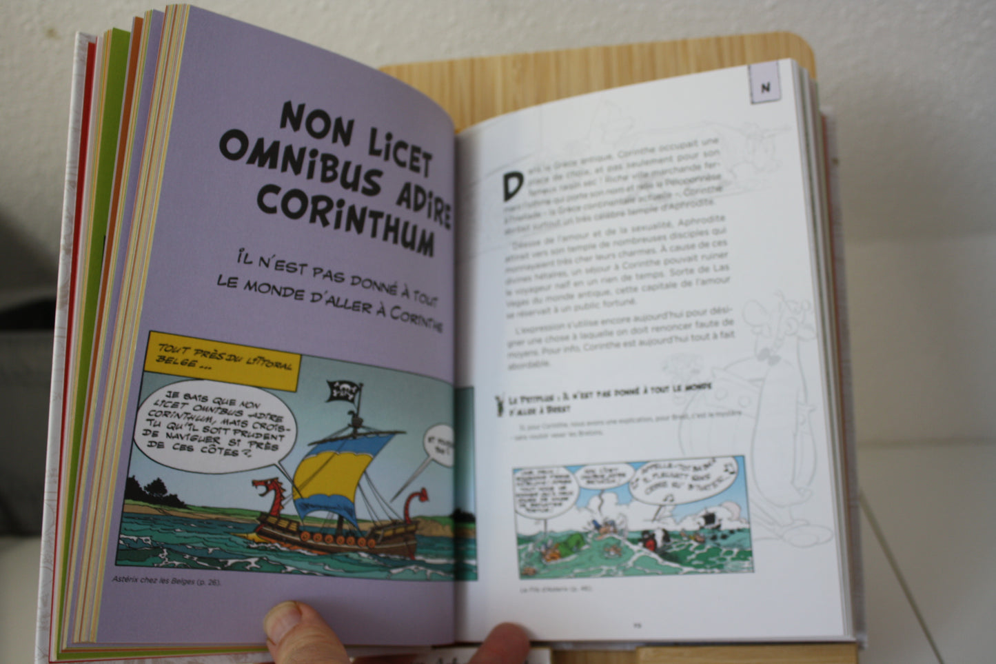 Les Citations latines expliquées – Astérix – Molin Goscinny Uderzo - E/P/A Hachette – Réédition-2019
