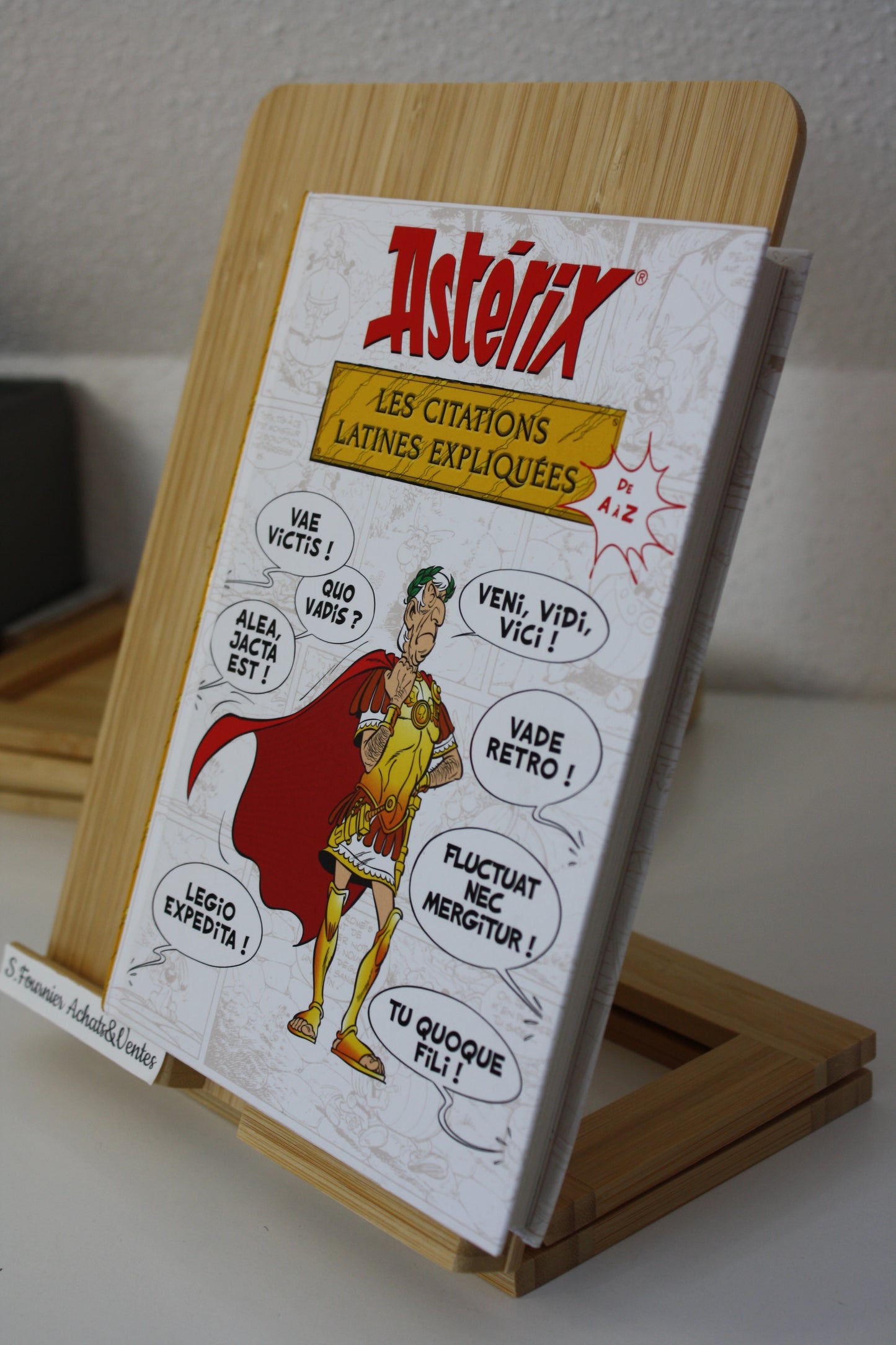Les Citations latines expliquées – Astérix – Molin Goscinny Uderzo - E/P/A Hachette – Réédition-2019