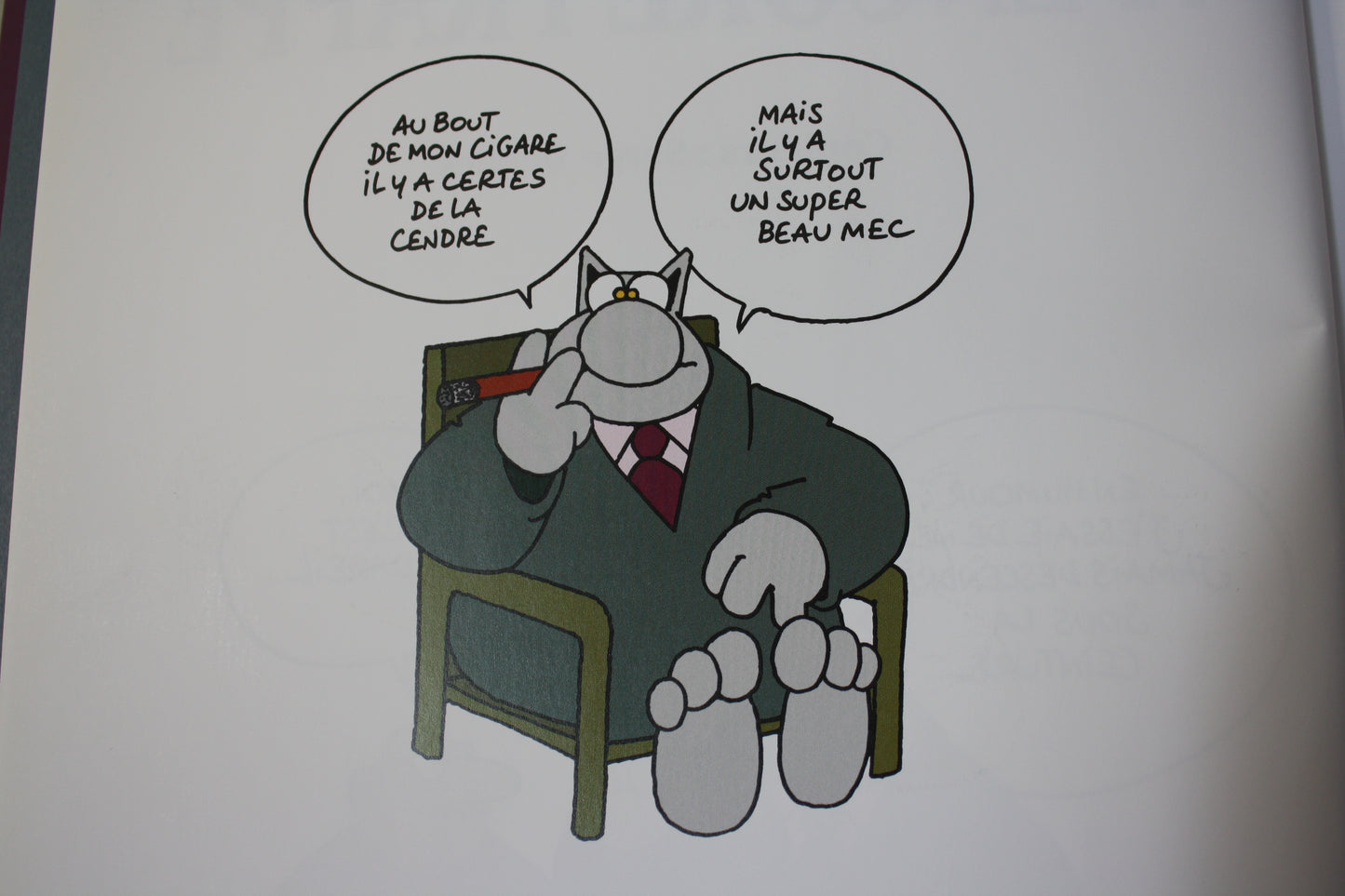 Le chat a encore frappé – Le Chat – Philippe Geluck – Casterman – Réédition – 2005 – Petit prix
