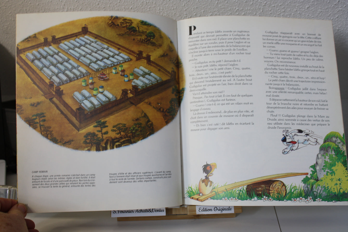 Le vilain petit aiglon – Idefix – Goscinny Uderzo – Edition Albert rené - EO – 1982