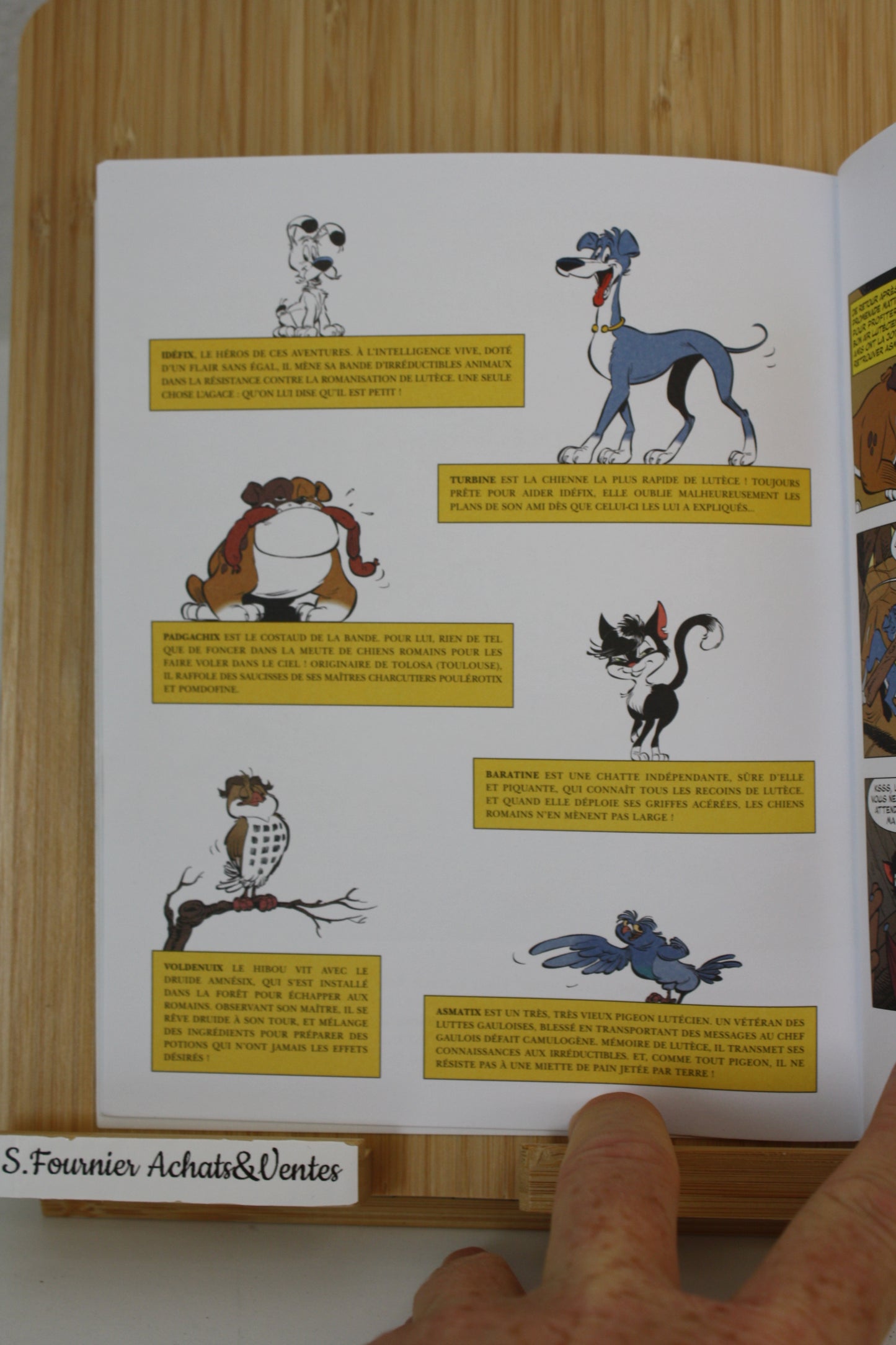 Extrait CNL de pas de quartier pour le latin – Idéfix et Les irréductibles – Choquet Coulon Erbin – Edition Albert René CNL – Publicitaire – 2022