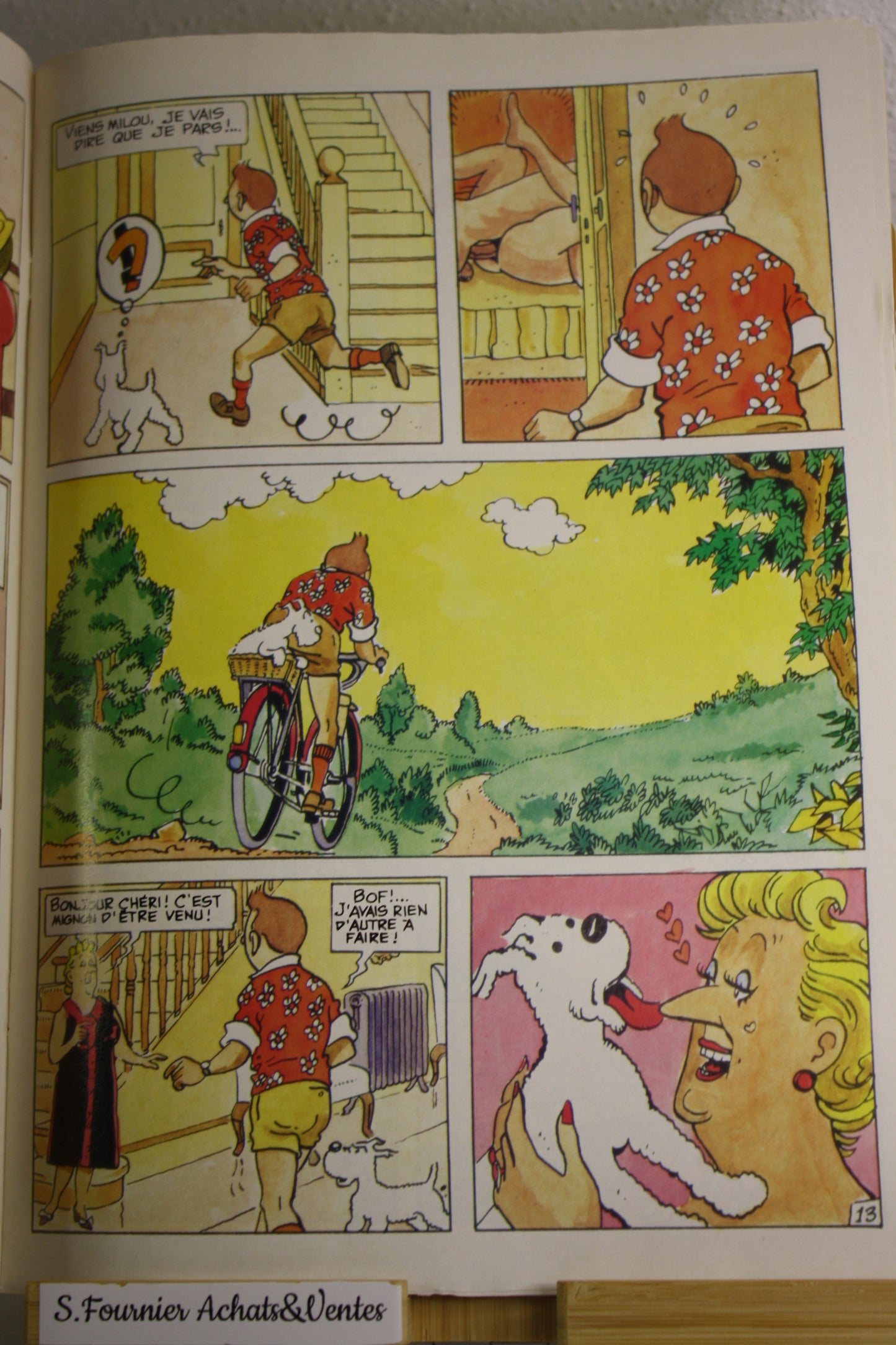 La Vie sexuelle de Tintin – Tintin – Jan Bucquoy – BEDEX – EO – 1992 – Pour ADULTE