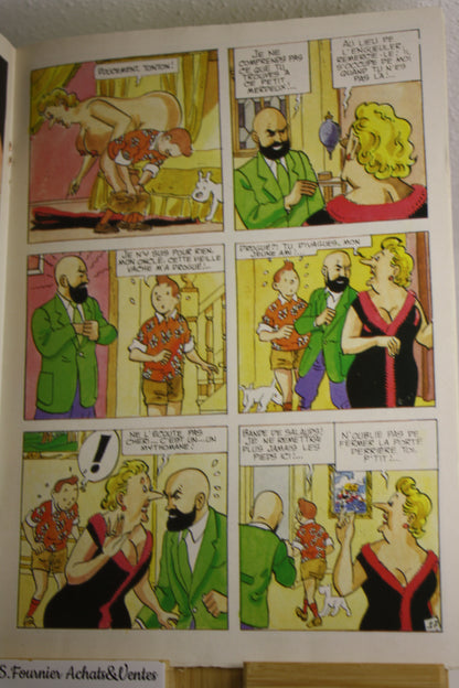 La Vie sexuelle de Tintin – Tintin – Jan Bucquoy – BEDEX – EO – 1992 – Pour ADULTE