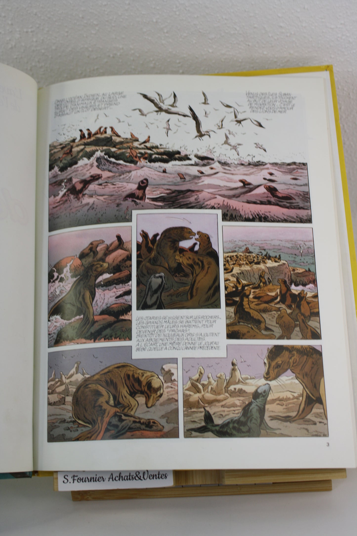 Les lions de mer – L’aventure de l’équipe Cousteau – Sérafini Paccalet – Robert Laffont – EO – 1987
