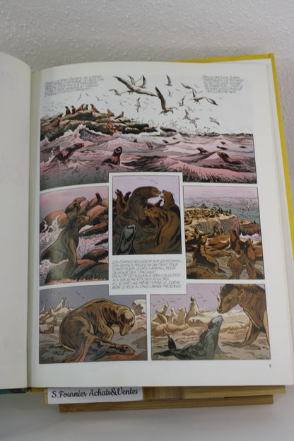 Les lions de mer – L’aventure de l’équipe Cousteau – Sérafini Paccalet – Robert Laffont – EO – 1987
