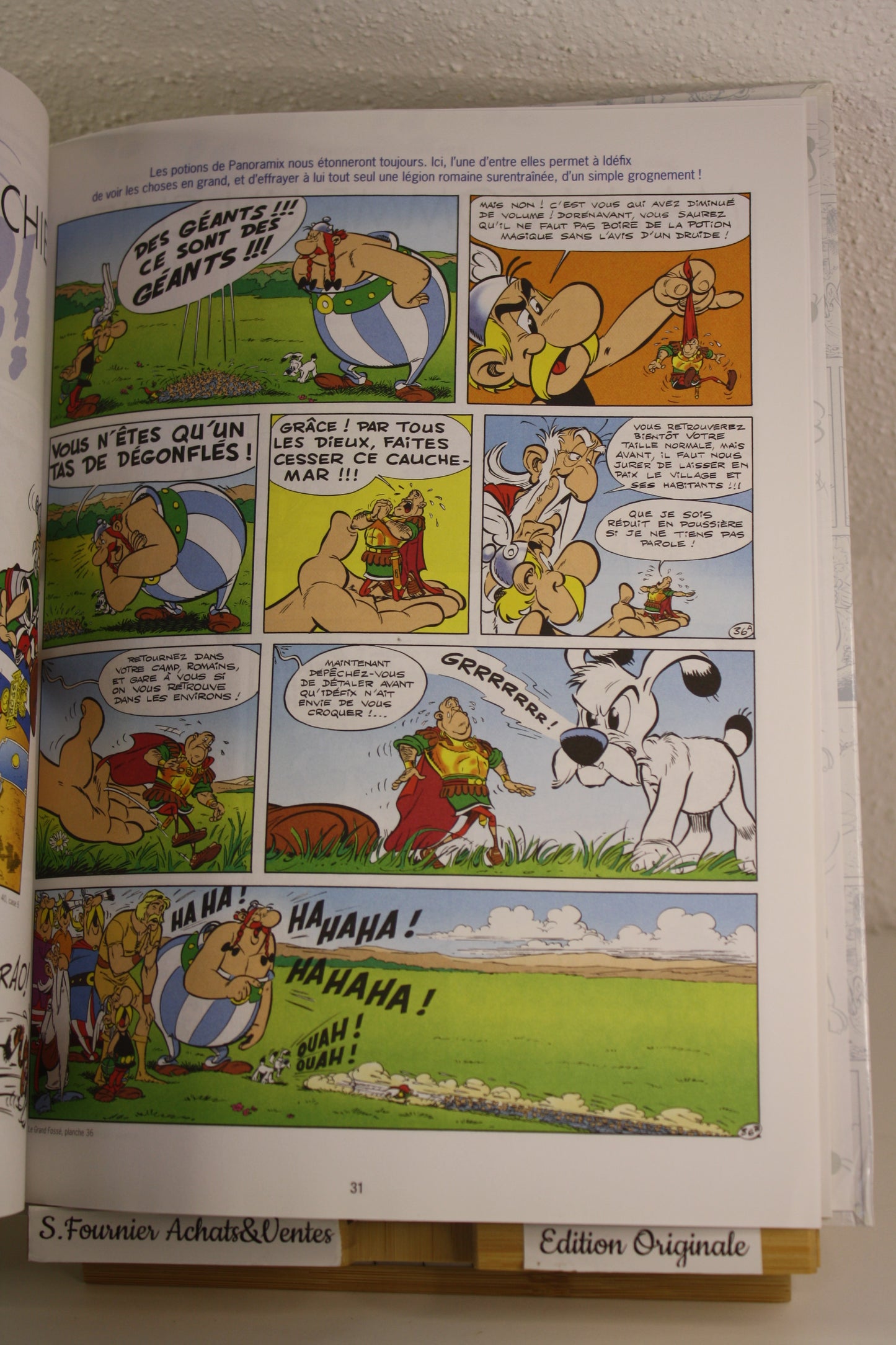 Idéfix –Le meilleur d’Astérix et Obélix – Goscinny Uderzo – Albert René - EO – 2015