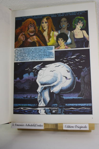 La pierre de passe – Bornéo Jo – Pichard – Dargaud – EO – 1984