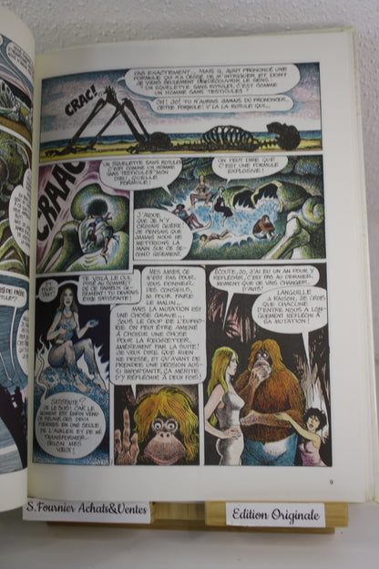 La pierre de passe – Bornéo Jo – Pichard – Dargaud – EO – 1984