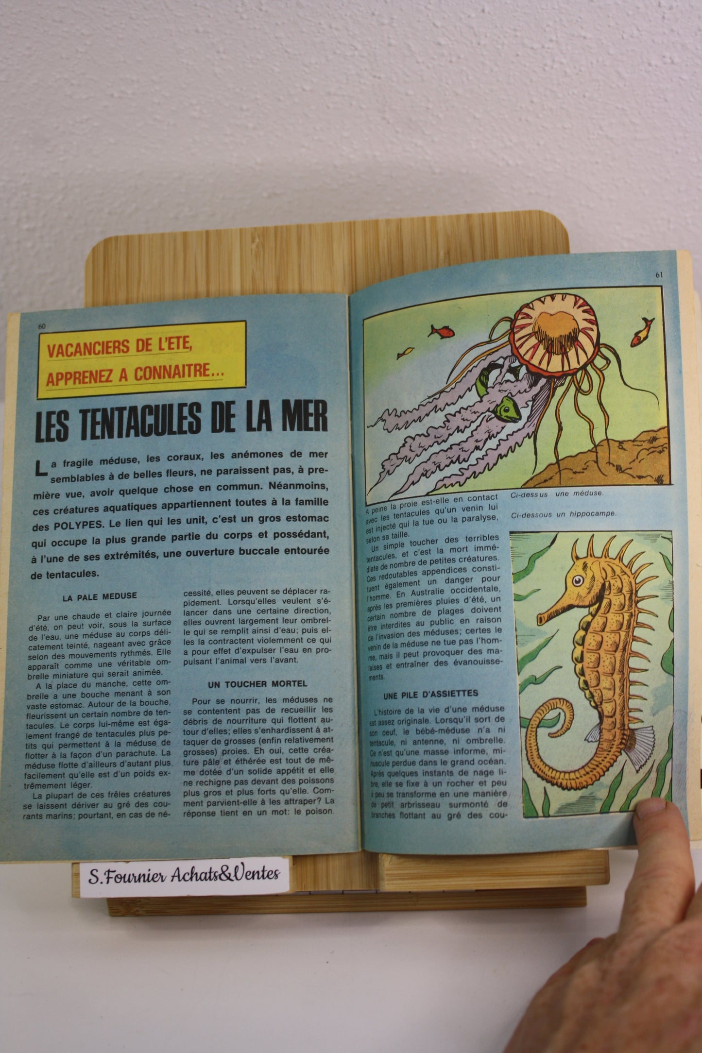 L’araignée : Le labyrinthe N°31– Nova – Elias Isabella – Lug – Périodique – 1980