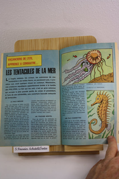 L’araignée : Le labyrinthe N°31– Nova – Elias Isabella – Lug – Périodique – 1980
