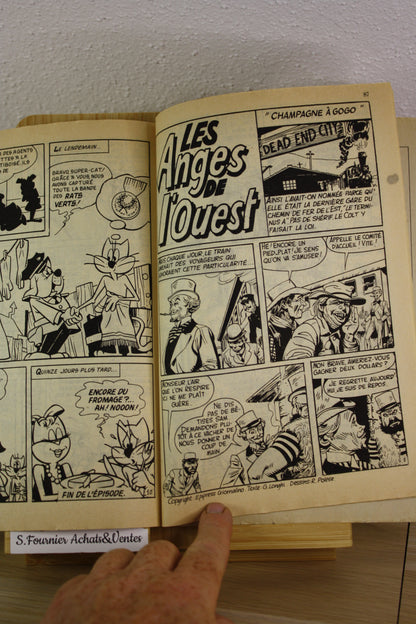 Le grand Réginald N°6 – Super Swing – Essegesse – Aventures et voyages – Périodique – 1981