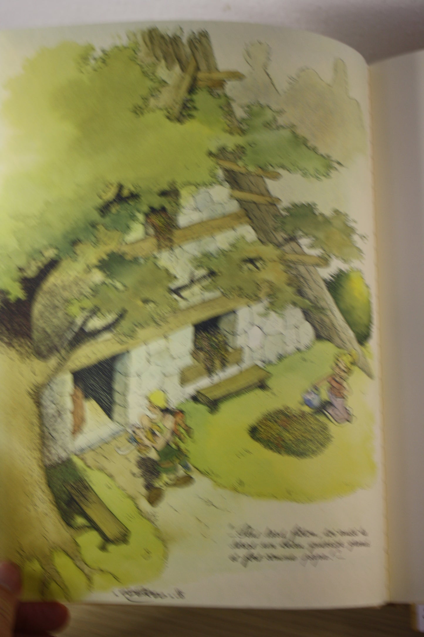 Comment Obélix est tombé dans la marmite du druide – Astérix – Goscinny Uderzo – Albert René – Réédition – 2005