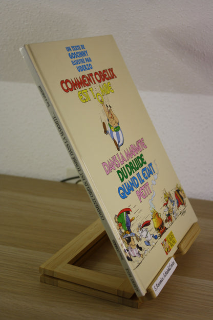 Comment Obélix est tombé dans la marmite du druide – Astérix – Goscinny Uderzo – Albert René – Réédition – 2005