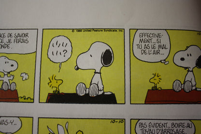 Snoopy prend de la hauteur – Snoopy – Schulz - Delville – Publicitaire - 1999 - ESSO