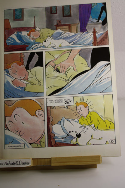 Le mariage de Tintin – Tintin – Jan Bucquoy – BedeX – EO – 1980